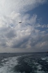 写真 2014-09-10 14 04 35 のコピー.jpg