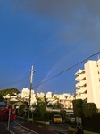 IMG_1119.jpg