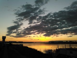 IMG_4234.jpg