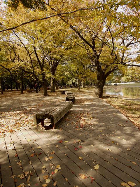 P1010525.jpg