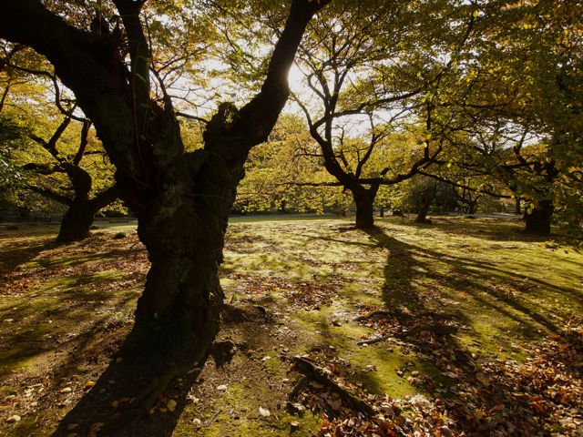 P1010562.jpg